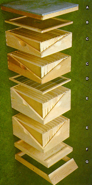 Beehive Components